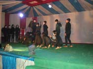 Highslide JS